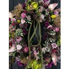 Orchidea szeder ajtókopogtató