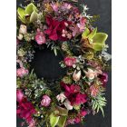 Orchidea szeder ajtókopogtató