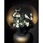 Magnólia eukaliptusz virágkompozíció fekete váza