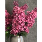 Orgona virágkompozíció 3 lábú váza