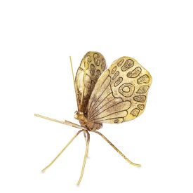  Kerámia arany pillangó