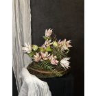 Protea kompozíció szizál kosár