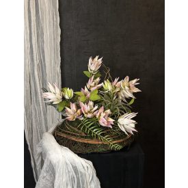Protea kompozíció szizál kosár