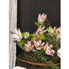 Protea kompozíció szizál kosár