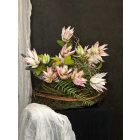 Protea kompozíció szizál kosár