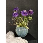 Viola scabiosa  virágkompozíció zsinóros kaspó