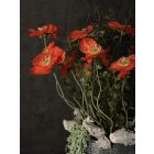 Piros pipacs virágkompozíció szürke kaspó