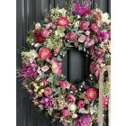 Magenta boglárka ajtókopogtató