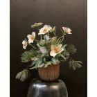 Krém helleborus virágkompozíció arany zsinóros kaspó