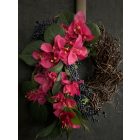 Murvafürt  ajtókopogtató