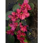 Murvafürt  ajtókopogtató