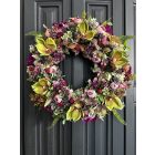 Orchidea szeder ajtókopogtató