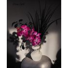 Lila orchidea virágkompozíció