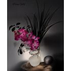 Lila orchidea virágkompozíció