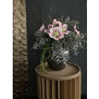 Helleborus virágkompozíció  kancsó váza