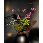 Helleborus virágkompozíció gyűrű