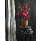 Magenta orchidea virágkompozíció kerámia kaspó