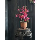 Magenta orchidea virágkompozíció kerámia kaspó