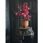 Magenta orchidea virágkompozíció kerámia kaspó