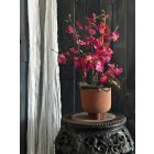 Magenta orchidea virágkompozíció kerámia kaspó