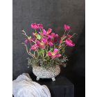 Magenta cosmea virágkompozíció kerámia tál