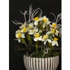 Csillagvirág kompozíció zsinóros kaspó