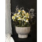 Csillagvirág kompozíció zsinóros kaspó