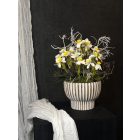 Csillagvirág kompozíció zsinóros kaspó