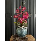 Magenta orchidea virágkompozíció zsinóros kaspó
