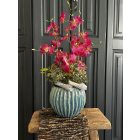 Magenta orchidea virágkompozíció zsinóros kaspó