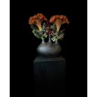 Celózia virágkompozíció  3 ágú váza