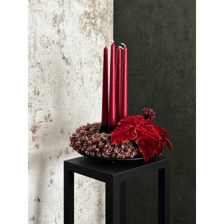 Bársony mikulásvirág adventi koszorú