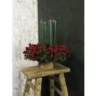 Tuja koszorús adventi tál