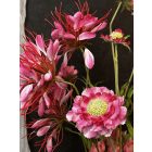 Vad százszorszép virágkompozíció lótusz váza