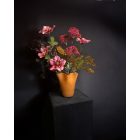 Burgundy hunyor virágkompozíció  hullám váza