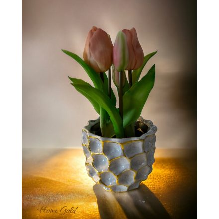 Barack színű tulipán kaspóban